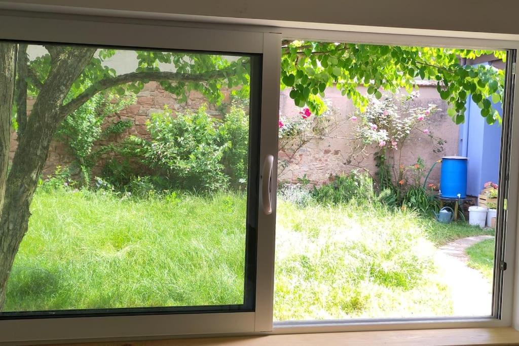 La Maisonnette Bleue, Eco-Logis Equipe De Toilettes Seches Rosheim Eksteriør billede