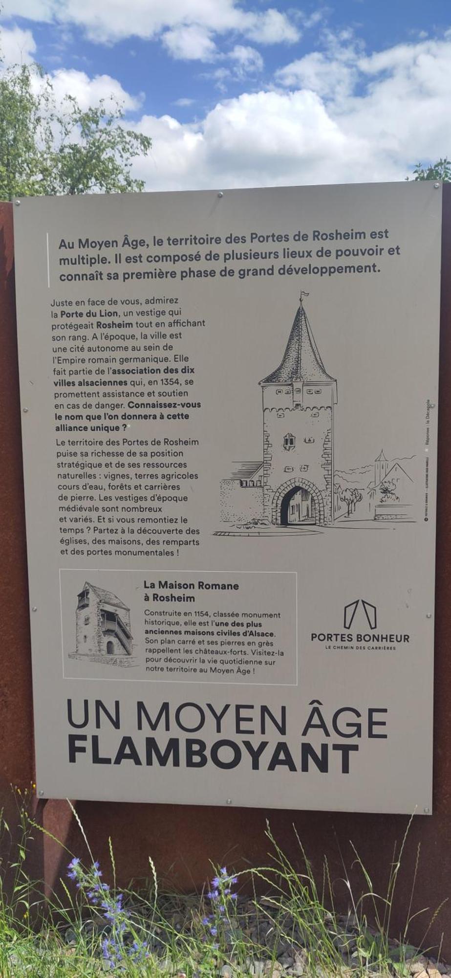 La Maisonnette Bleue, Eco-Logis Equipe De Toilettes Seches Rosheim Eksteriør billede